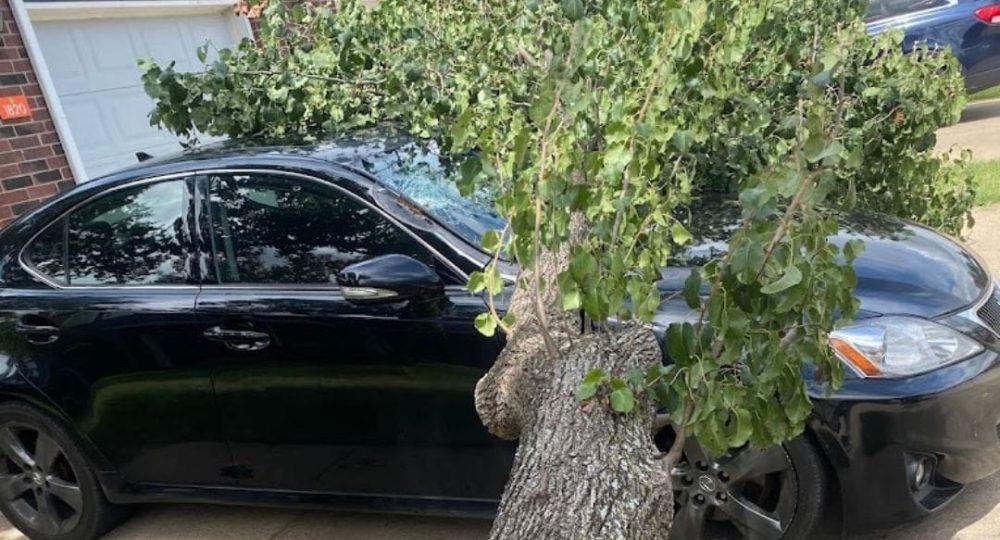 Tree-fell-on-car-after-storm-1080x796-1