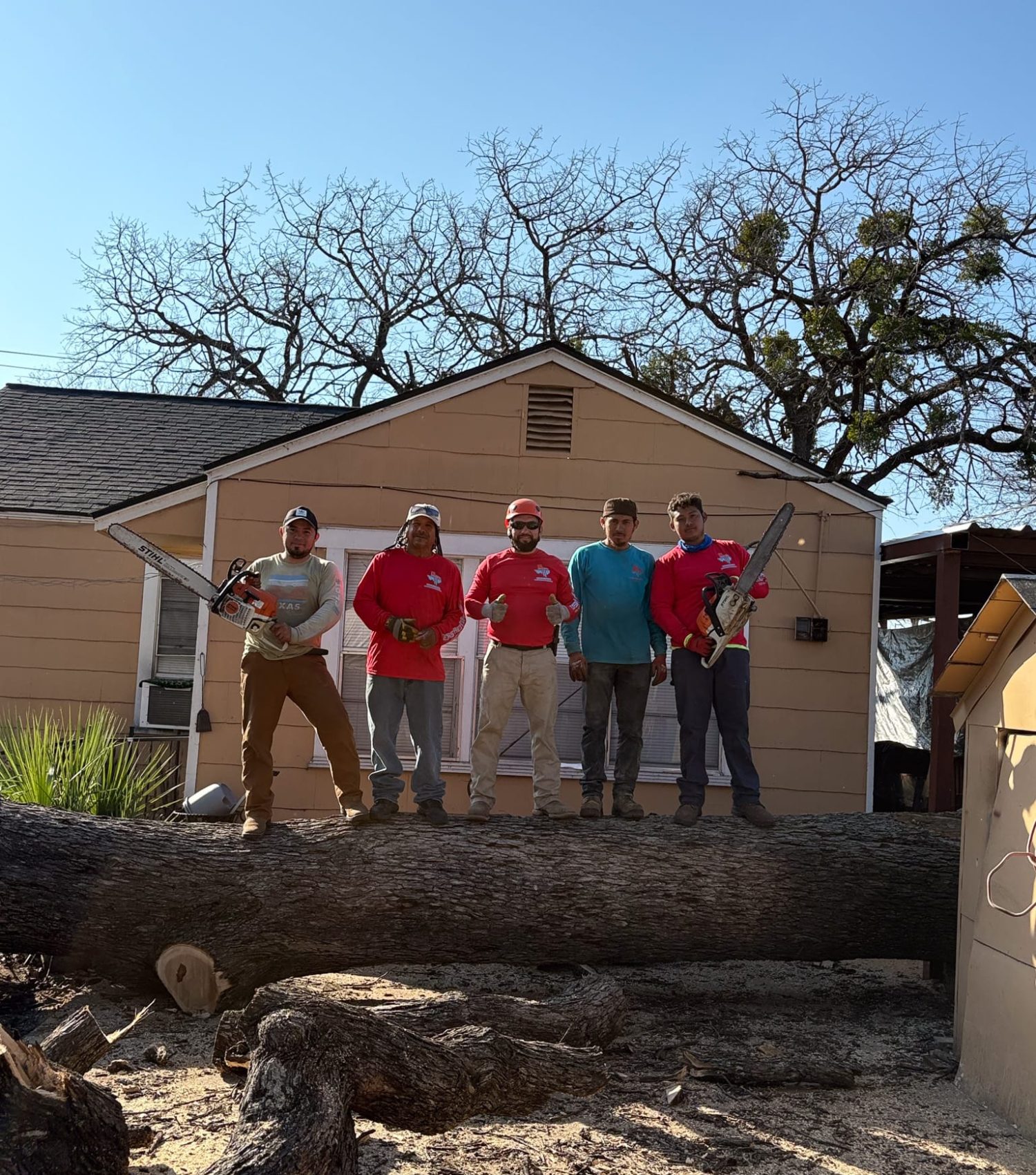 met the team of texas tree tops