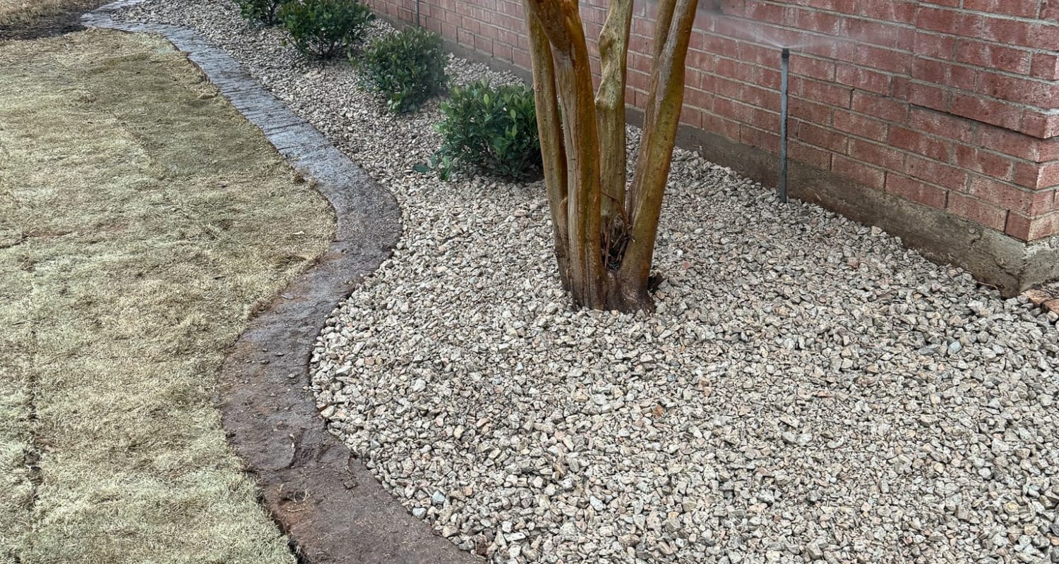 side of house landscape