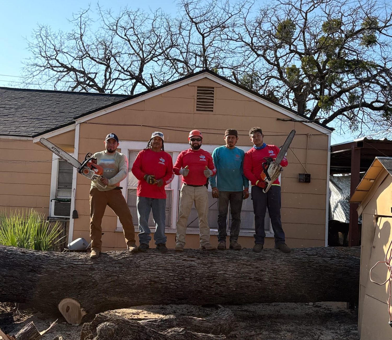 texas tree tops team