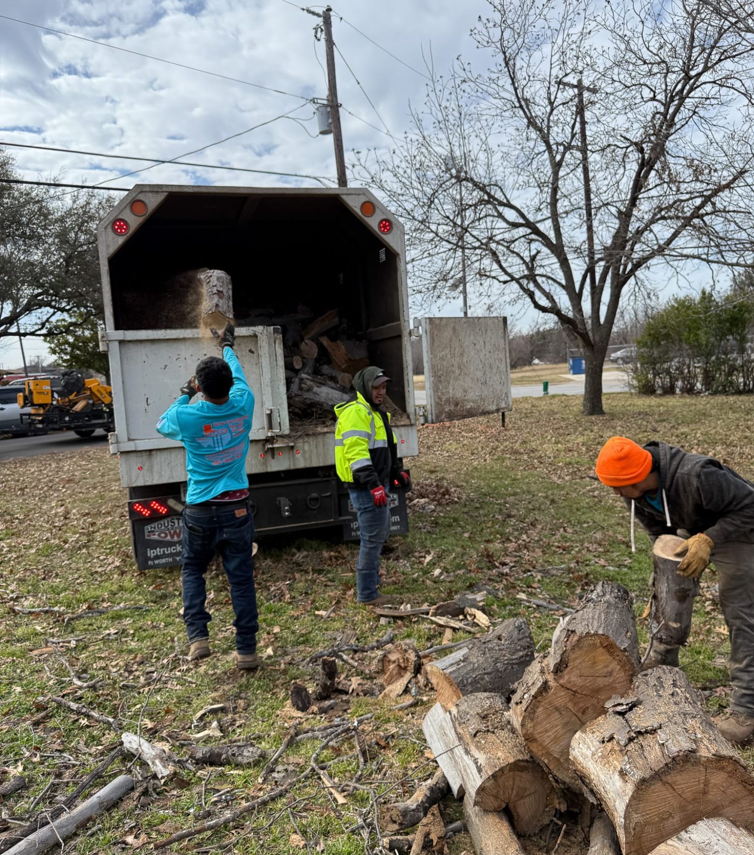 workers on clearing tree
